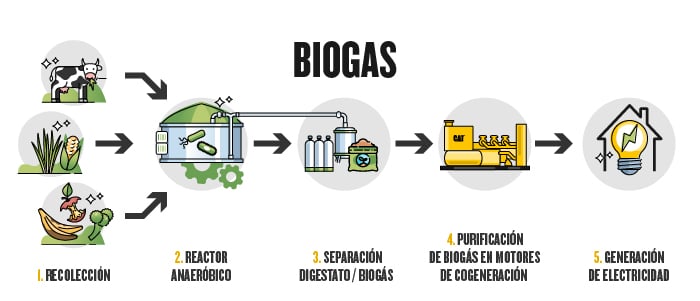 Infografia-Biogas